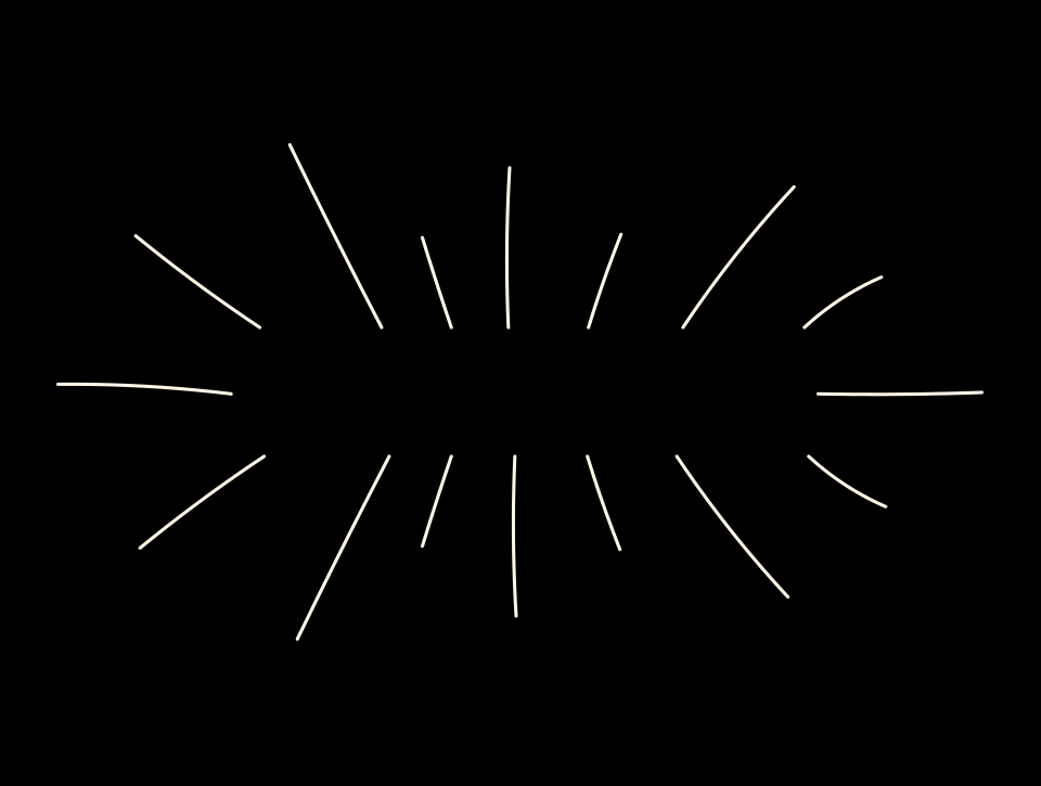 Animated image of Lisa Erbak