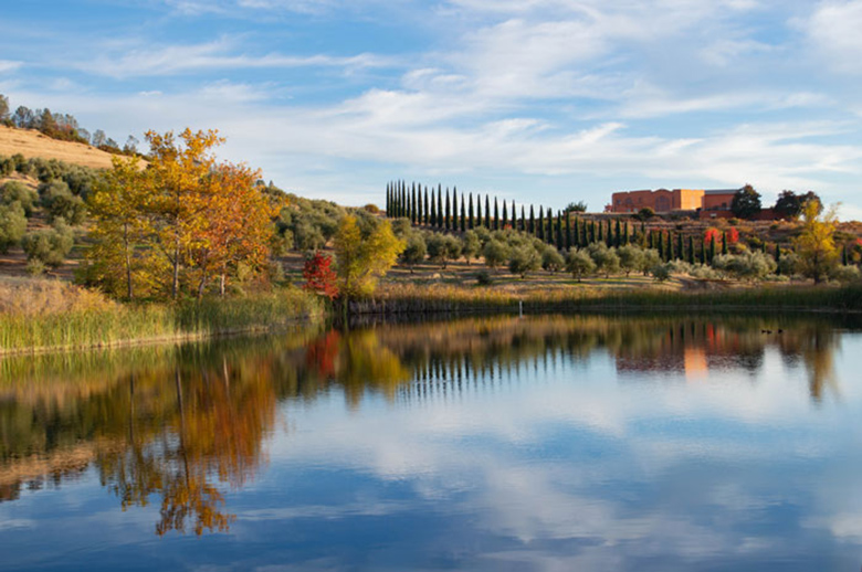 Serene nature landscape photography